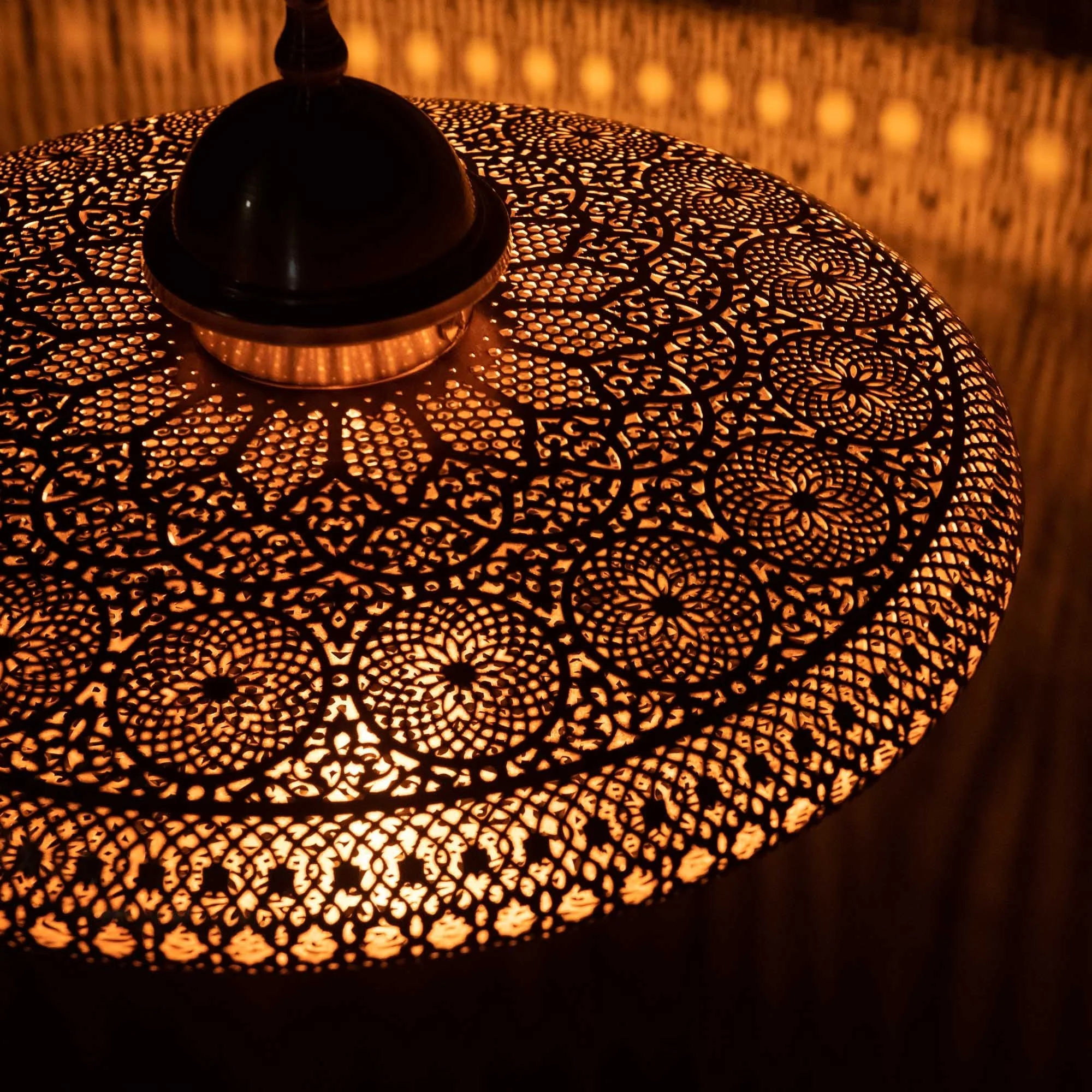 Omniya Pendant Light view 2